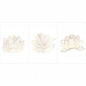 Quadros Flores de Lótus Trio Clean decorativo - 3 Peças