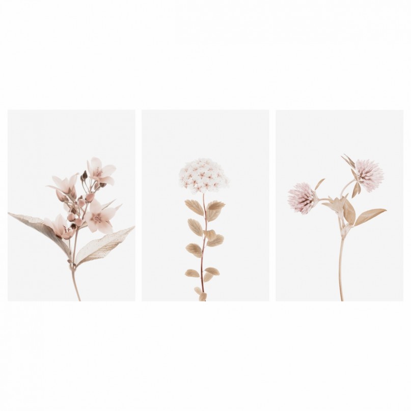 Quadros decorativos Flores Kit Floral Botânico 3 Peças