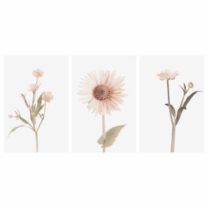 Quadros Flores Conjunto Floral Botânico 3 Peças - Delicate Sunflower