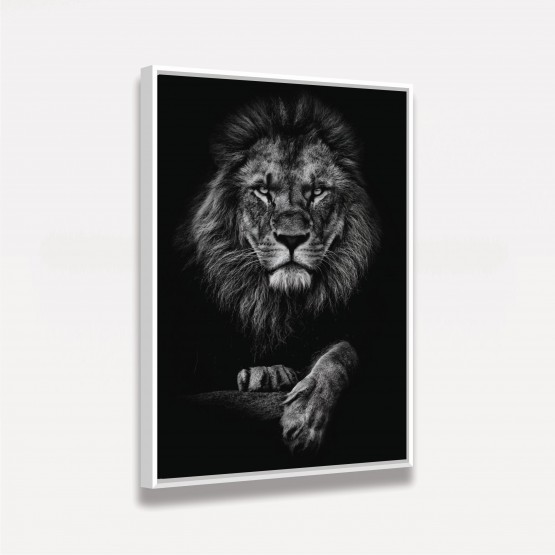 Quadro decorativo Leão o Rei dos Animais Preto & Branco