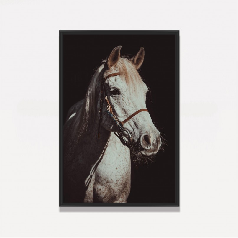 Quadro Cavalo Branco Sobre Preto em Arte