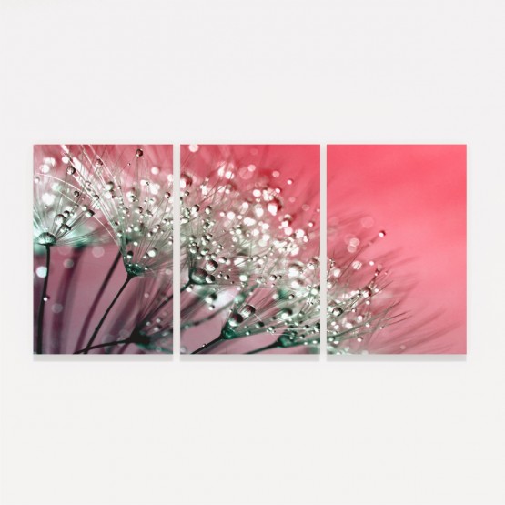 Quadro Flores Dente Leão Abstrato Tons Rosa