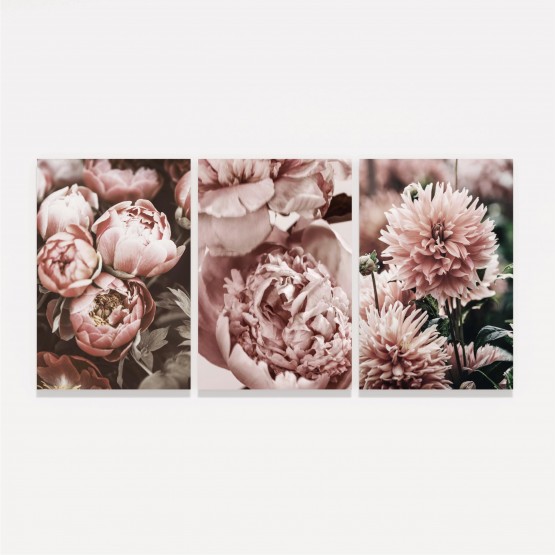 Quadros Flores Kit Floral - Peony Flowers