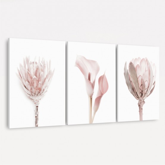 Kit Quadros decorativos Flores Rose - Delicate Set