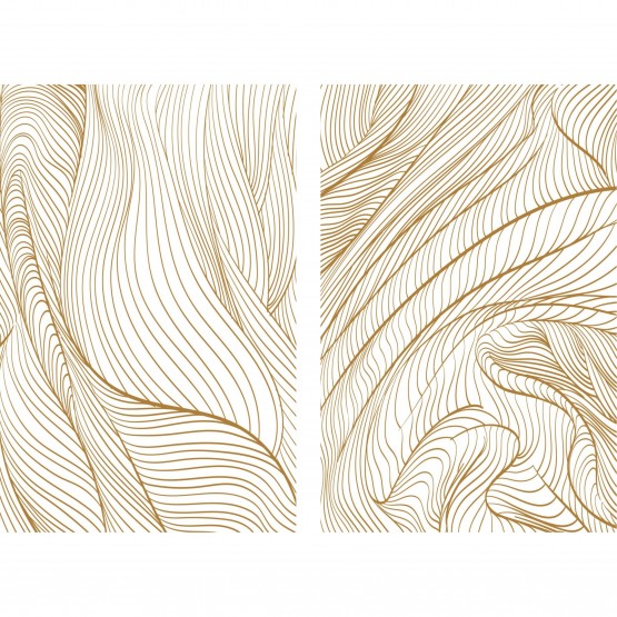 Quadro Abstrato Duo Linhas Curvas Douradas decorativos