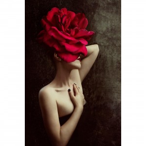 Quadro Mulher em Arte Moderna - With Red Rose