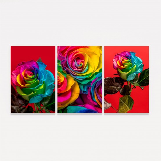 Quadro Trio de Rosas Coloridas Arco Iris 