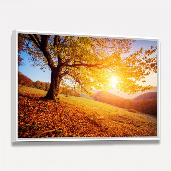 Quadro Árvore Folhas Amarelas - Autumn Landscape