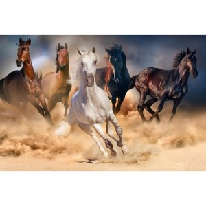 Quadro Cavalos Correndo em Arte decorativo 