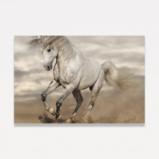 Quadro Cavalo Branco Galopando decorativo