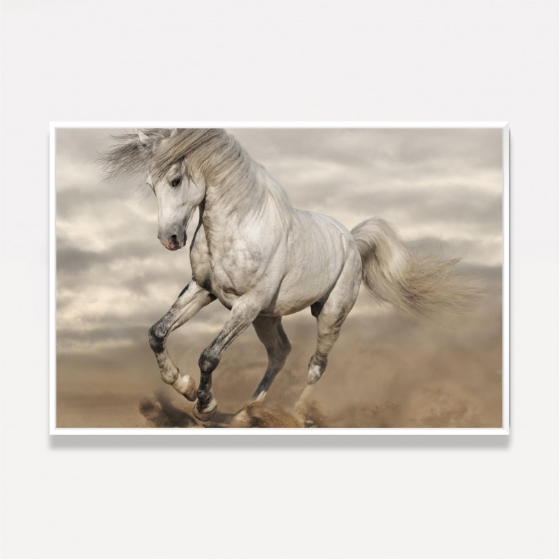 Quadro Cavalo Branco Galopando decorativo