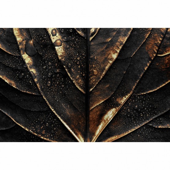 Quadro Luxo Folha Dark Gotejante Detalhes em Dourado