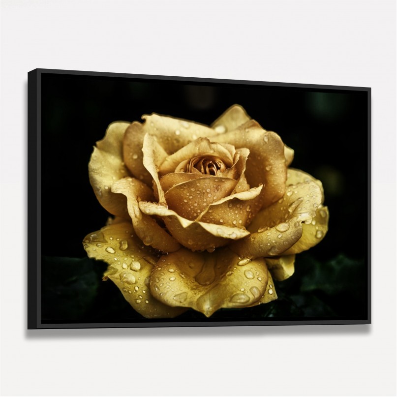 Quadro Flor de Rosa Amarela Detail