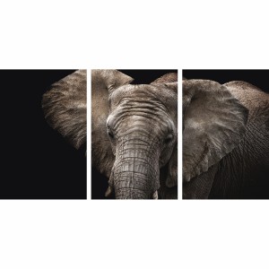 Quadro Elefante em Arte - 3 Peças