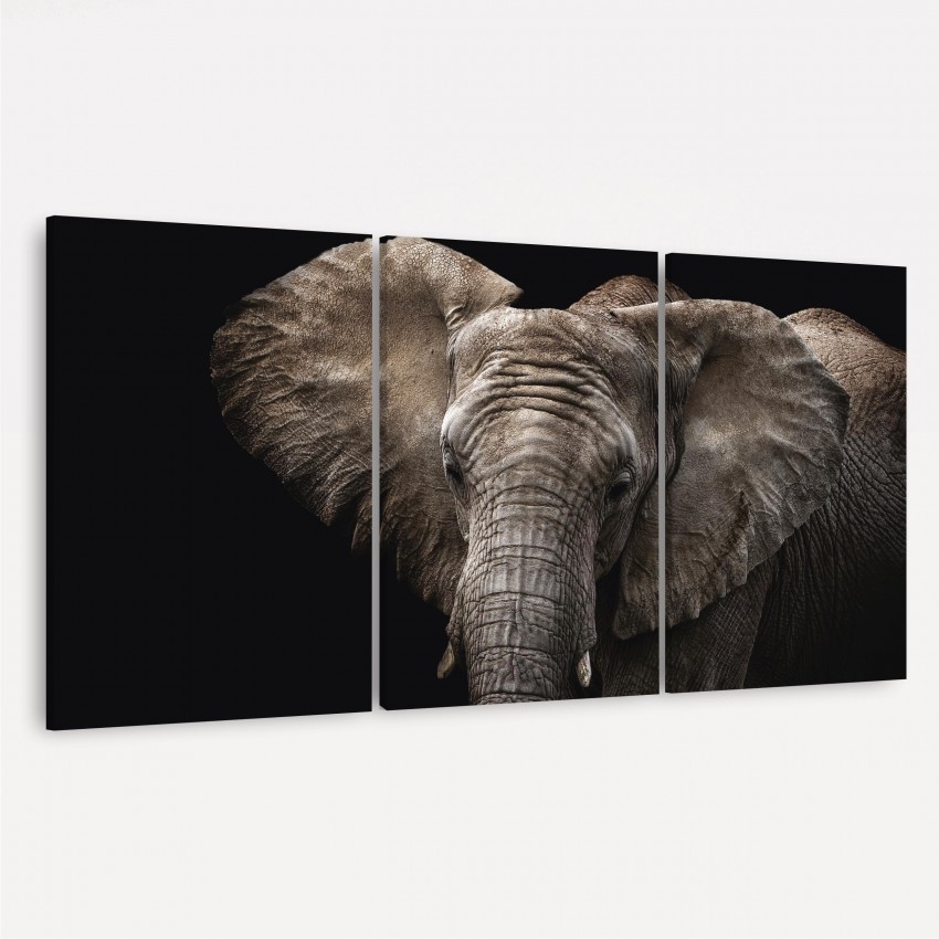 Quadro Elefante em Arte - 3 Peças