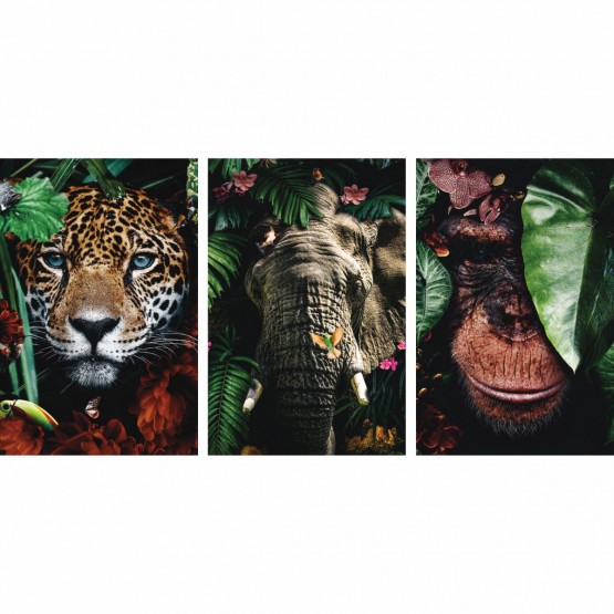 Kit Quadros decorativos Onça Elefante Macaco - Florest Art