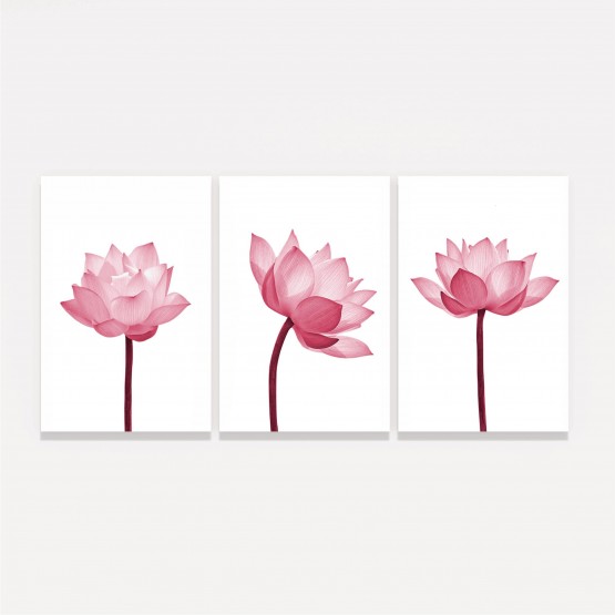 Quadro Flores de Lótus Delicadas - Trio Rose