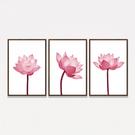 Quadro Flores de Lótus Delicadas - Trio Rose