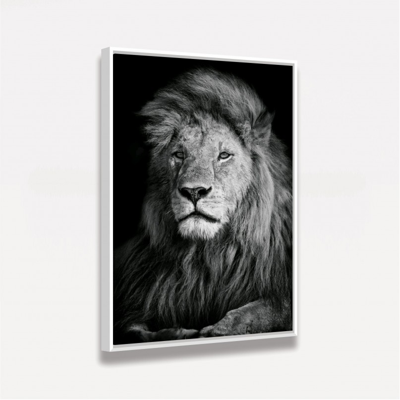Quadro Leão em Preto e Branco - Thoughtful Lion