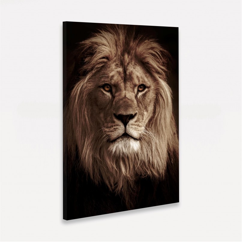 Quadro Leão Retrato em Arte decorativo
