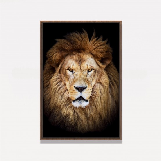 Quadro Leão Africano - Wild Lion