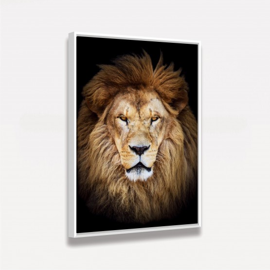 Quadro Leão Africano - Wild Lion