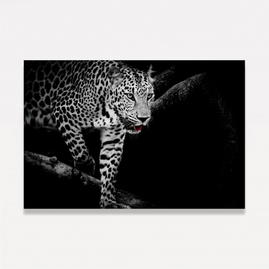 Quadro Leopardo Africano em Arte Preto e Branco