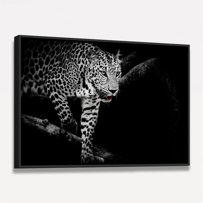 Quadro Leopardo Africano em Arte Preto e Branco