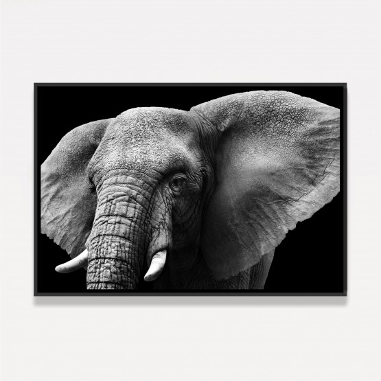 Quadro Elefante Close Preto e Branco 