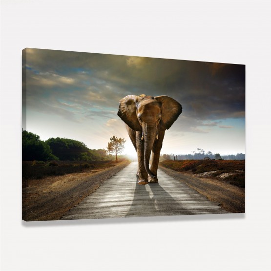 Quadro Elefante Caminhando em Arte