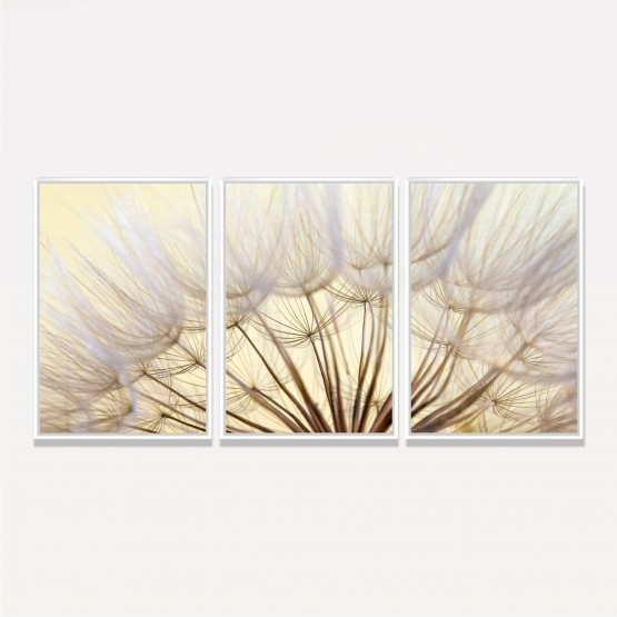 Quadro Flores Dente de Leao Closeup Natureza em Arte 3 Pecas