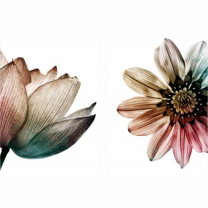 Quadro Flores Floral Artes Coloridas Sobre Branco - Kit 2 Peças