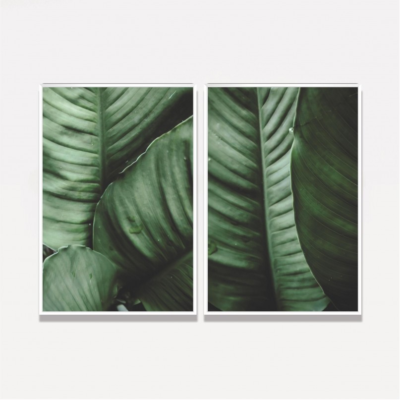 Quadro Plantas Folhagem decorativo - Duo de Verde