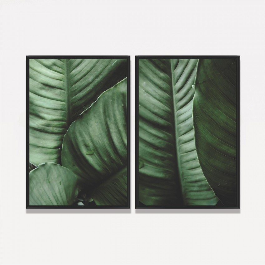 Quadro Plantas Folhagem decorativo - Duo de Verde