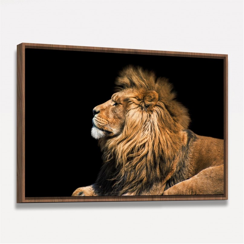 Quadro decorativo Leão Retrato no Preto - Rei Animal