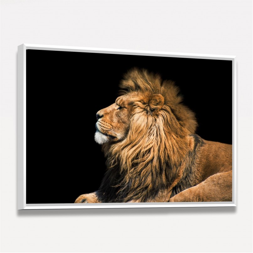 Quadro decorativo Leão Retrato no Preto - Rei Animal
