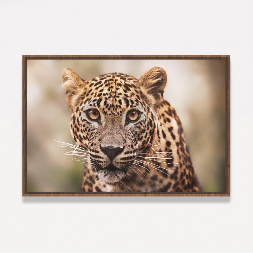 Quadro Leopardo Retrato em Detalhe decorativo 