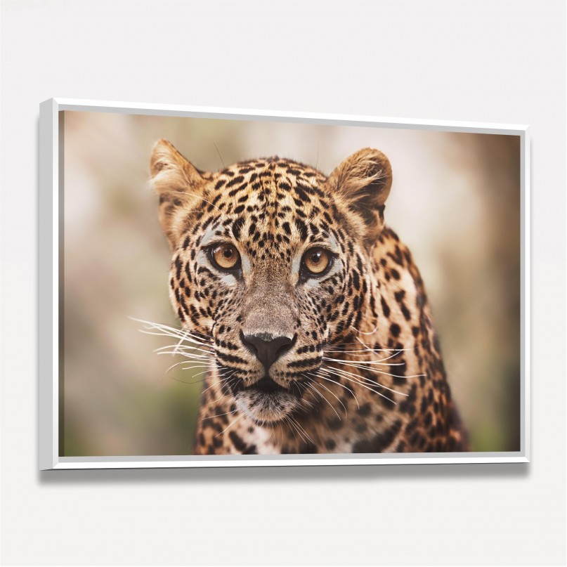 Quadro Leopardo Retrato em Detalhe decorativo 