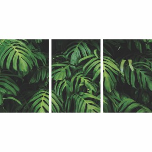 Kit Quadros Folhas Verdes Natureza Costela de Adão - 3 Peças