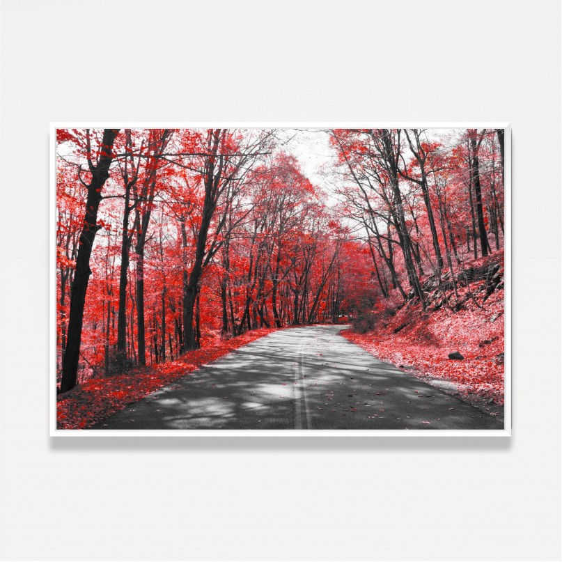 Quadro Estrada Árvores Folhas Vermelhas de Outono decorativo