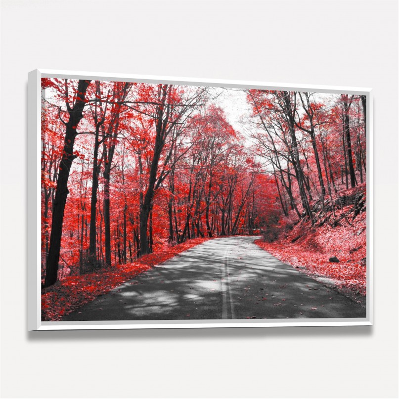 Quadro Estrada Árvores Folhas Vermelhas de Outono decorativo
