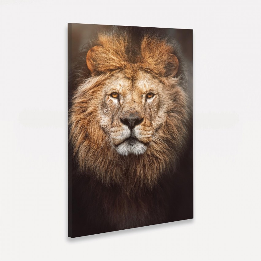 Quadro Leão Retrato Detalhes - Panthera Leo decorativo