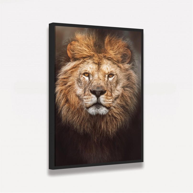 Quadro Leão Retrato Detalhes - Panthera Leo decorativo