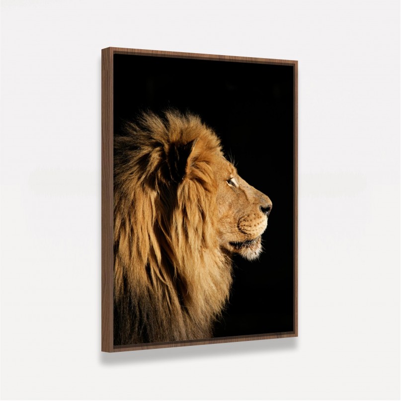 Quadro Leão em Retrato Lateral Sobre Preto decorativo