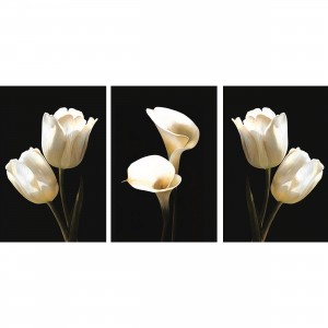 Quadros Flores Brancas Sobre Preto - Tulipas e Copo de Leite