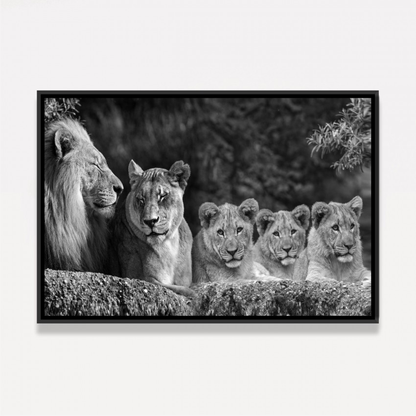 Quadro Leão e Família Unida em Preto e Branco