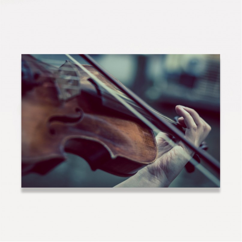 Quadro Violino A Arte de Tocar