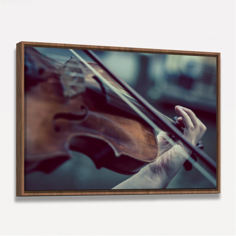 Quadro Violino A Arte de Tocar