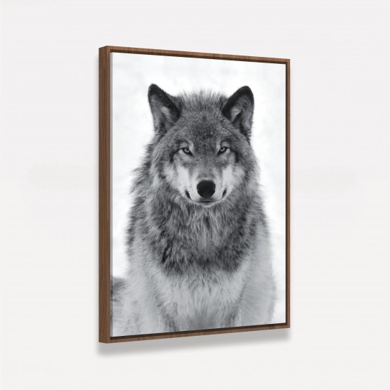 Quadro Lobo em Arte - Lonely Wolf