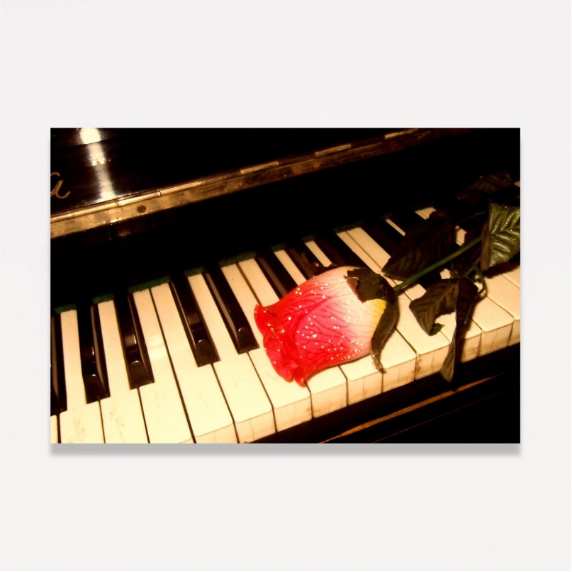 Quadro Vintage Rosa Sobre Teclas do Piano decorativo